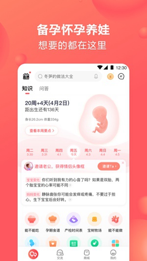 宝宝树app下载官方最新