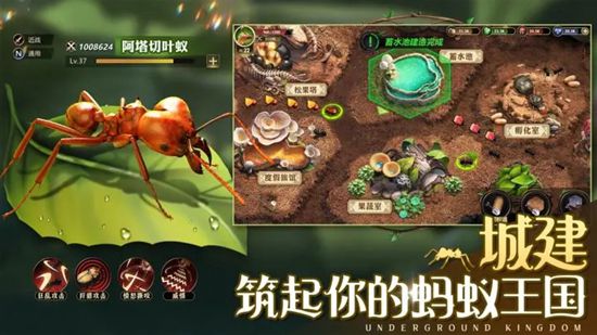 小小蚁国官方下载精简版