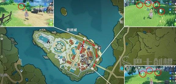 原神蒲公英籽哪里采集