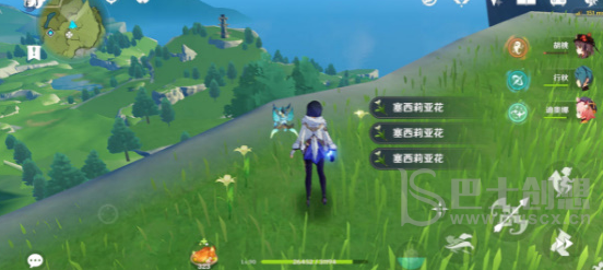 原神塞西莉亚花采集地点