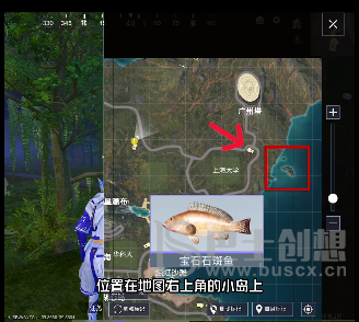 和平精英绿洲世界钓鱼位置大全 绿洲世界鱼类汇总分布详细攻略图片7