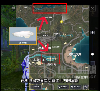 和平精英绿洲世界钓鱼位置大全 绿洲世界鱼类汇总分布详细攻略图片6