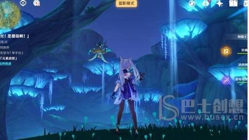 《原神》画外旅照青植之篇第三天攻略