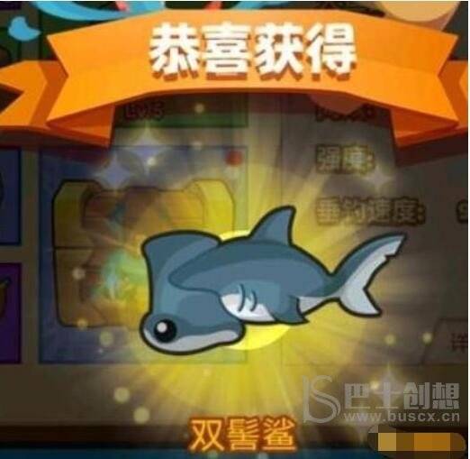 疯狂骑士团危险捕食者第一个双髻鲨如何钓取 疯狂骑士团危险捕食者第一个双髻鲨钓鱼方法