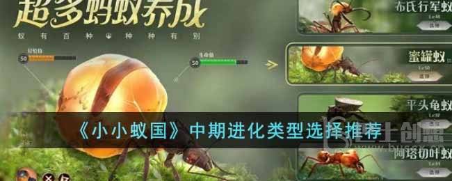 小小蚁国中期进化类型怎么选 小小蚁国中期进化类型介绍