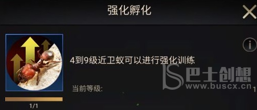 小小蚁国中期进化类型怎么选 小小蚁国中期进化类型介绍
