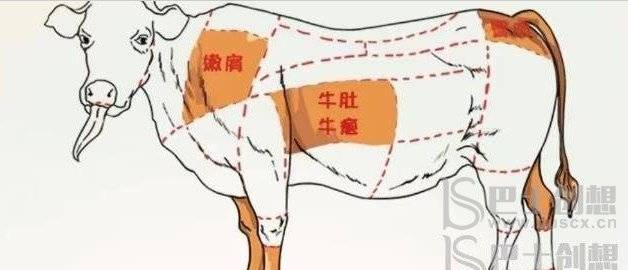 全民汉字王浑身都是宝攻略 全民汉字王浑身都是宝按照正确位置拖动拼图