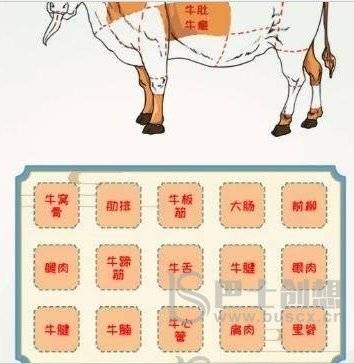 全民汉字王浑身都是宝攻略 全民汉字王浑身都是宝按照正确位置拖动拼图