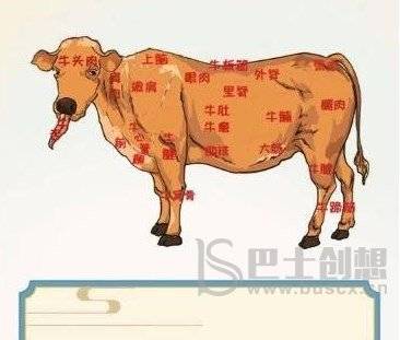 全民汉字王浑身都是宝攻略 全民汉字王浑身都是宝按照正确位置拖动拼图