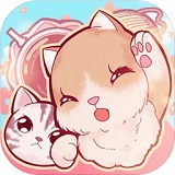 猫猫养成：云撸猫