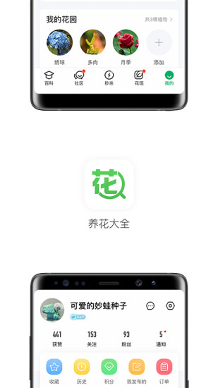 养花大全下载