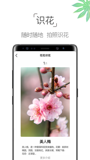 养花大全APP