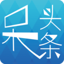 呆头条