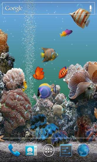 3D海底世界动态壁纸下载