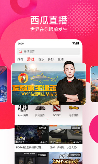 西瓜视频下载