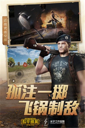 和平精英国际服版