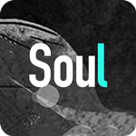 soul下载安装最新版