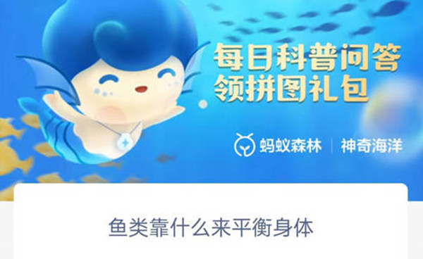 支付宝鱼类靠什么来平衡身体