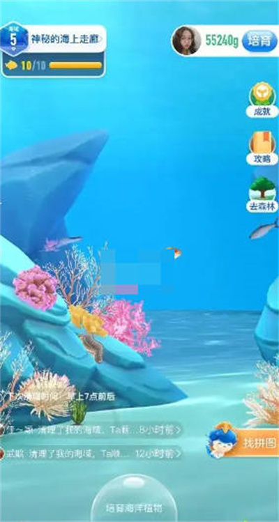 支付宝神奇海洋11.8日答案是什么2022