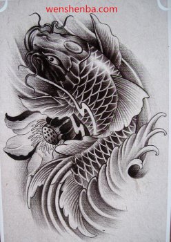 黑灰鲤鱼莲花纹身手稿